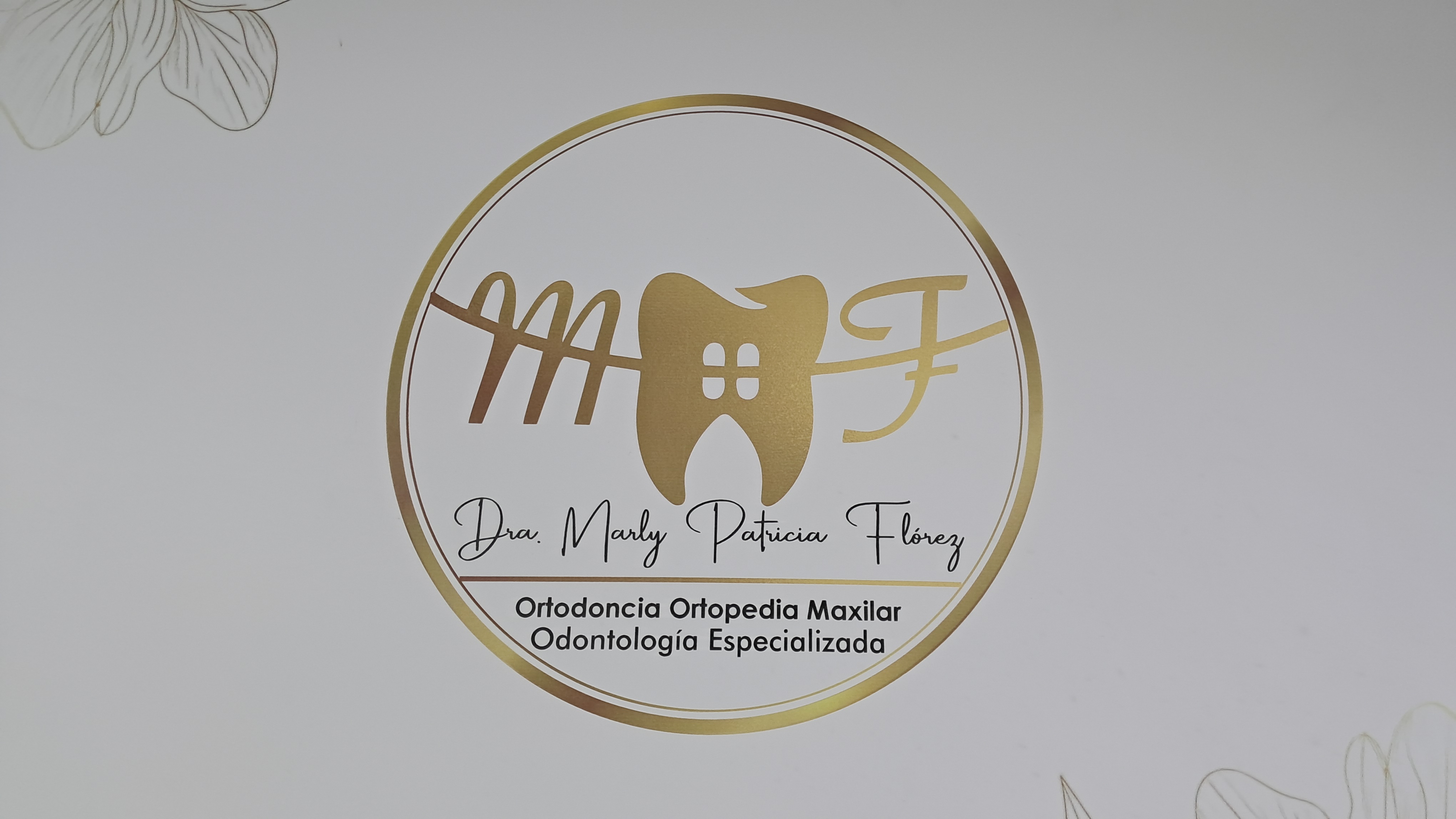 Marly Patricia Florez - Aliados goaligner